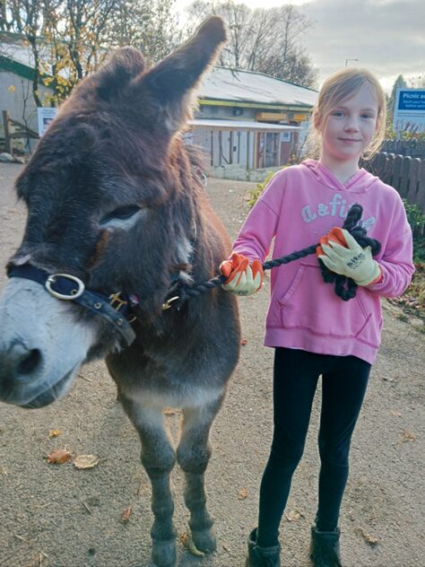 Walking Trefor for the first time A young girl standing next to a donkey and holding its reins.