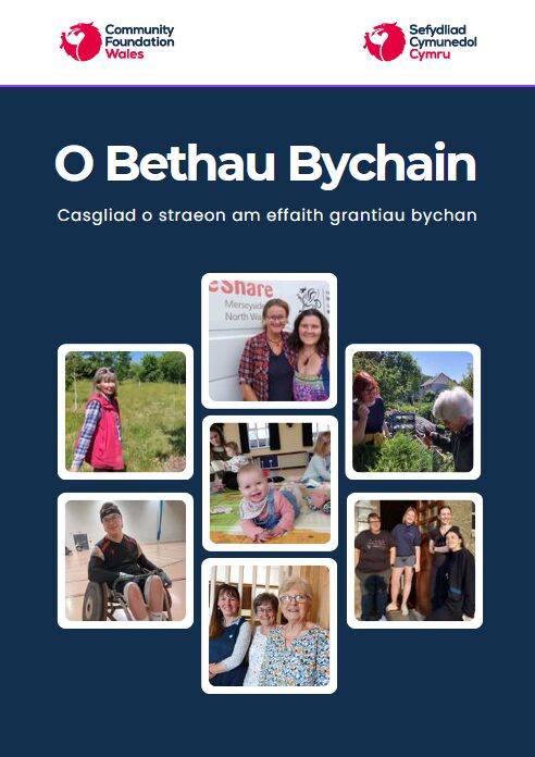 O Bethau Bychain front page CYM Adroddiadau