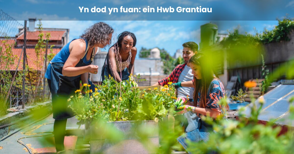 Yn dod yn fuan: Ffordd symlach a chyflymach o wneud cais am gyllid