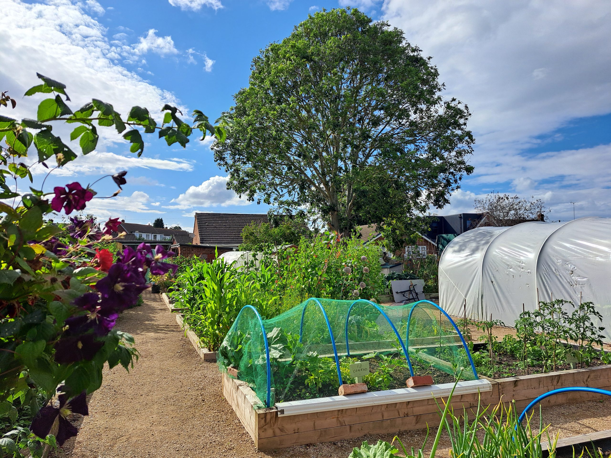 Cysylltu cymunedau drwy arddio