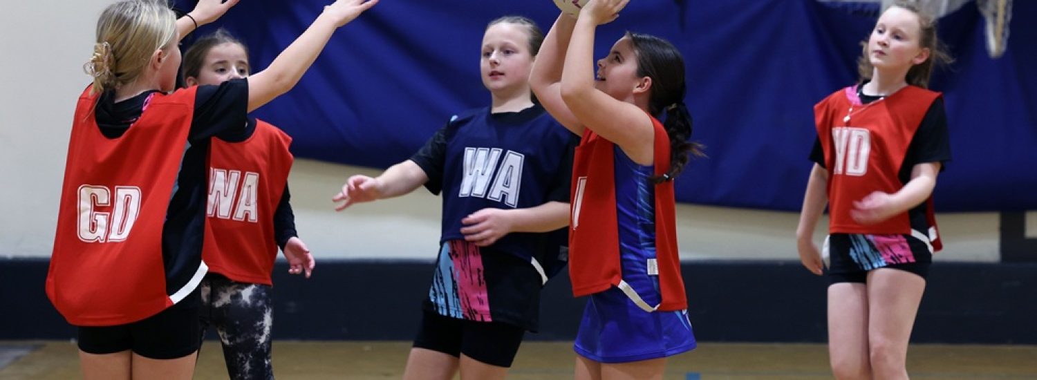 Sut i ddefnyddio ein Hwb Grantiau